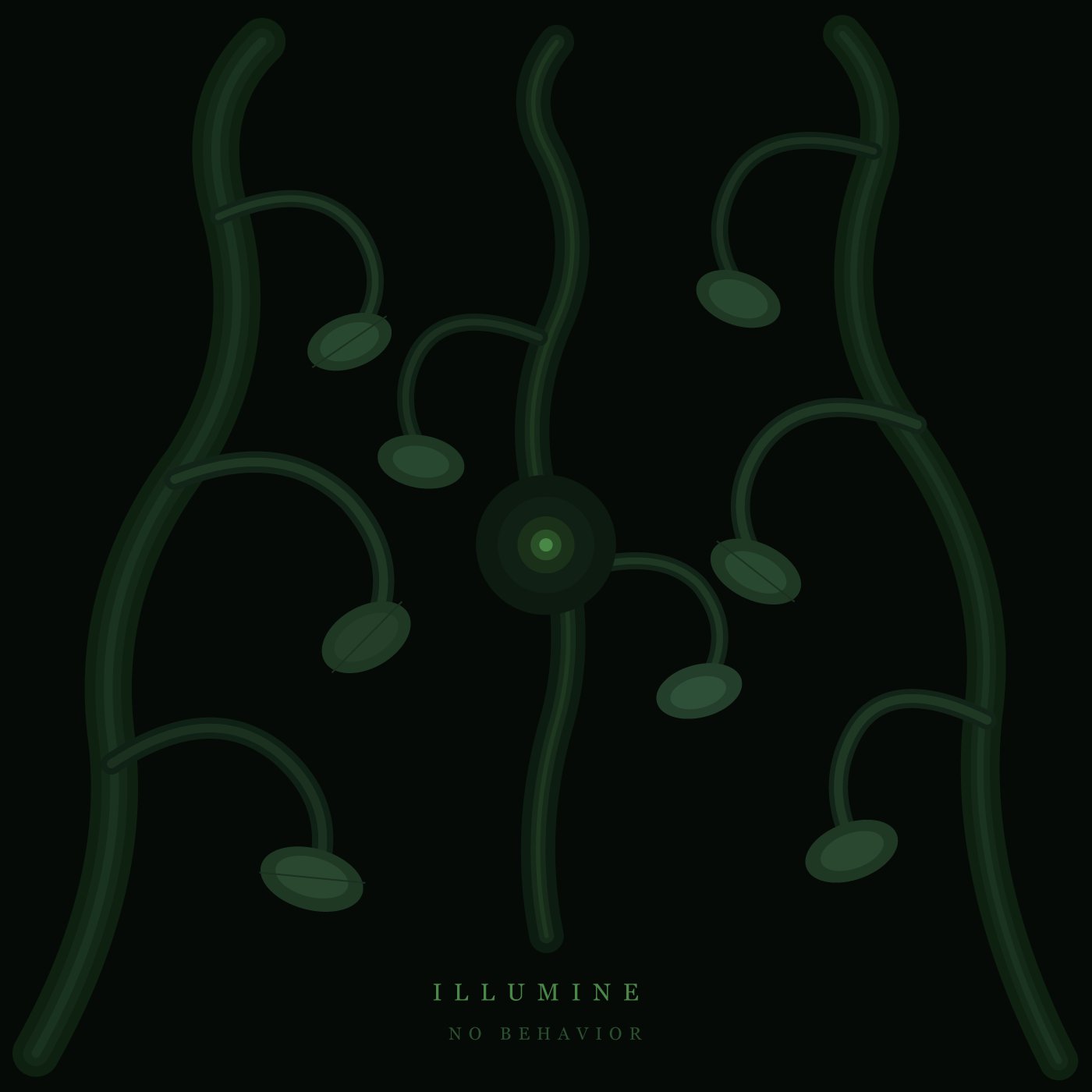 illumine — No Behavior, single cover